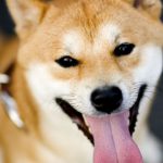 トーンをあわせる?